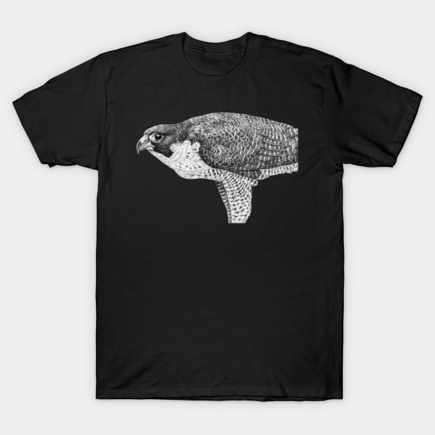 Peregrine Falcon T-Shirt by Tim Jeffs Art